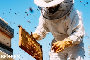 Beekeeping Like A Girl: Reasons Why Wearing a Beekeeper Suit is Recommended